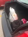 Envelope Style Trunk Cargo Net For Chevrolet Impala 2007 08 09 10 11 12 13 14 15 16 17 2018 