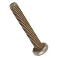 Bolt For Gmc Sierra 2500 2004 Steel Zinc T15 Head Tool Size 0 394 In 10 Mm Thread Length Heat Hardened Alx-pau-ac-12475229-cla4