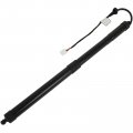 Aintier Automotive Replacement Shock Lift Supports Fit For Toyota Rav4 2019 For 2020