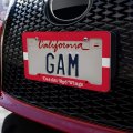Nhl Detroit Red Wings Logo License Plate Tag Frame