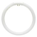 Floxite T5-22w T5-22w Ccircular Fluorescent Lamp Bulb 
