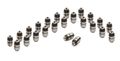Evergreen Lf5008 24 Hydraulic Lifters For -08 Dodge Chrysler Mitsubishi 2 5 3 0 5 8 24v 