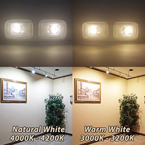 10 New Rv Led 12v 4200k Ceiling Fixture Double Dome Pancake Light For Camper Trailer Marine
