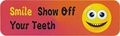 10in X 3in Smile Show Off Your Teeth Vinyl Bumper Magnets Magnetic Car By Stickertalk 