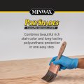 Minwax 3134400000 Polyshades Stain Polyurethane In 1 Step 10 75 Ounce Spray Antique Walnut Gloss