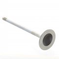 Ski-doo New Exhaust Valve 27mm 420254361 