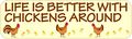 10in X 3in Life Is Better With Chickens Magnet Animal Vinyl Vehicle By Stickertalk 