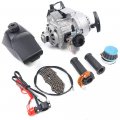 Pandair 2 Stroke Mini Pull Start Engine Starter Motor W 25h 136l Chain Suitable For Pocket Bike Mini Off-road Vehicle Atv 49cc