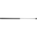 Volkswagen Beetle Hatch Lift Support 1998 To 2010 Driver Or Passenger Side Single Piece Gas Charged Trunk Lid 