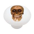 Ancient Skulll Decorative High Gloss Ceramic Drawer Knob 
