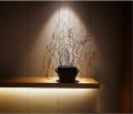 Edearkar 10w Par20 Flood Light Bulb E26 Base Daylight 6000k 100w Equivalent 900 Lumens 85-265v Indoor Outdoor Bulbs For Dining