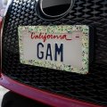 Fruity Vines Pattern License Plate Tag Frame