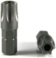 Torx 6-lobe Tamper Proof Security Bit T-40 Qty-25 