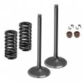 Caltric 2x Intake Valve Kit Compatible With Honda Crf250r Crf 250r 2004 2005 2006 2007 14711-krn-670