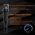 Ignition Coil Pack 8pcs For Bmw 545i 550i 5ci 650i 745i 750i 750li Alpina B6 B7 M5 M6 X5 X6 4 4l 4 8l Replaces 0221504470