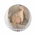 1080 Graphics Oh Hey You Re Home Early Gift For Cat Ma Me Lovers Key Chain Double Sided Stainless Steel Keychain 