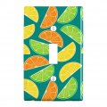 Citrus Lemon Lime Orange Slices Pattern Plastic Wall Decor Toggle Light Switch Plate Cover