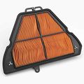Triumph Air Filter T2204820