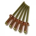Copper Pop Rivets 1 8 Diameter Brass Mandrel Blind Dome Head 4-2 X Grip Qty 000