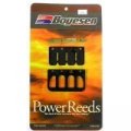 Yamaha Power Reed Kit Rd 125 Twin Motorcycle Atv Boyesen 750