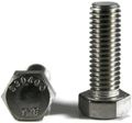 Hex Tap Bolt 18-8 Stainless Steel 3 4 -10 X 2-3 Qty-25