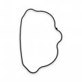 Polaris Sportsman 700 800 Ranger Rzr Head Cover Seal