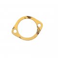 Hyster Gasket Thermostat S30xl