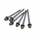 Polaris Scrambler Ranger Rzr Sportsman 2011-17 Cylinder Head Bolts Six