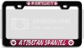 Tibetan Spaniel Dog My Heart Belongs To A 3d Metal License Plate Frame Universal Fit For Auto Suv And Truck Tag Holder 12 In X