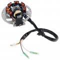 Caltric Stator For E-ton Atv 90 Rxl Viper 90 90cc Rxl90 Rxl-9c Stator For E-ton Atv 90 Rxl Viper 90 90cc Rxl90 Rxl-90