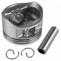 Caltric Engine Cylinder Piston For Honda Sportrax 250 Trx250ex 2x4 2003 2004 2005 2006 2007 2008